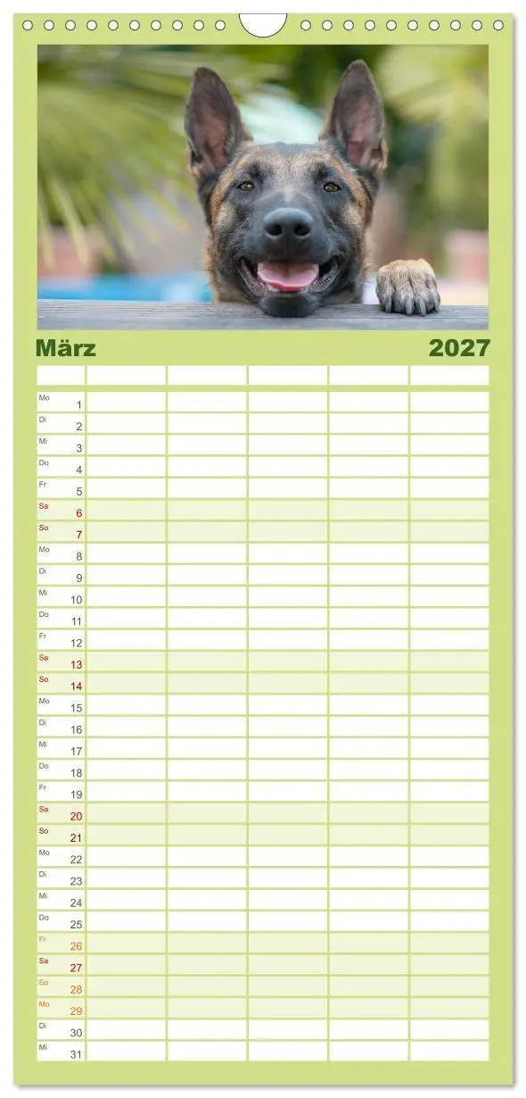 Bild: 9783594331491 | Familienplaner 2027 - Belgischer Schäferhund - Der Malinois mit 5...