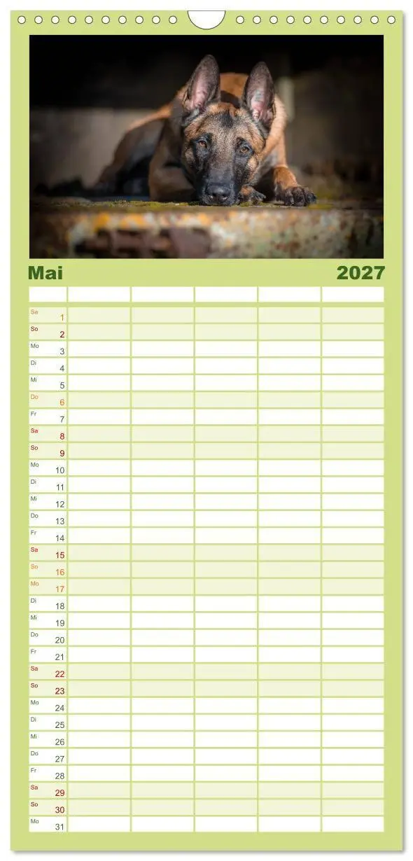 Bild: 9783594331491 | Familienplaner 2027 - Belgischer Schäferhund - Der Malinois mit 5...