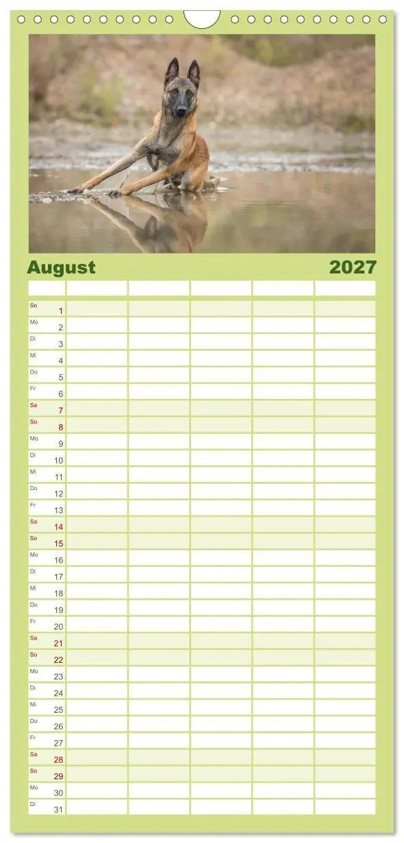 Bild: 9783594331491 | Familienplaner 2027 - Belgischer Schäferhund - Der Malinois mit 5...