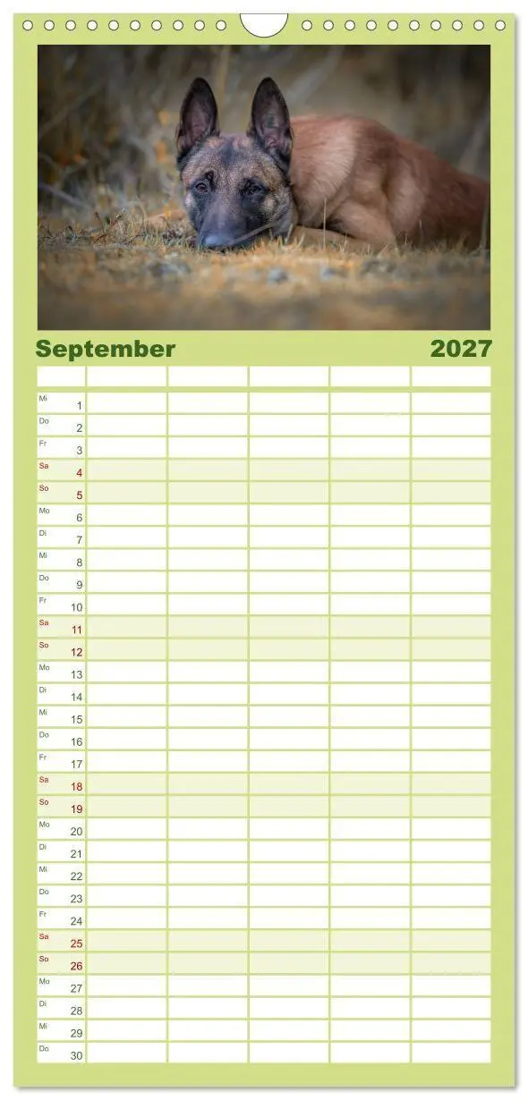 Bild: 9783594331491 | Familienplaner 2027 - Belgischer Schäferhund - Der Malinois mit 5...