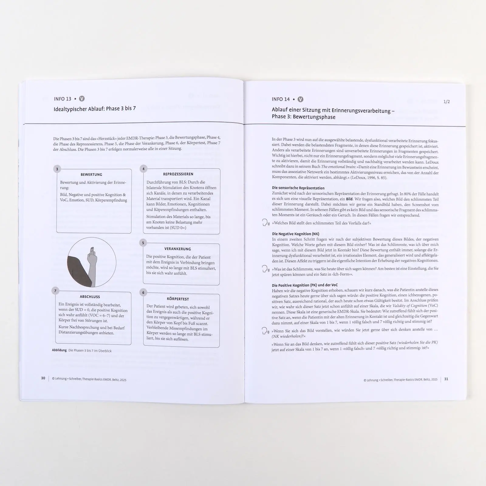 Bild: 9783621291491 | Therapie-Basics EMDR | Mit Online-Material | Maria Lehnung (u. a.)