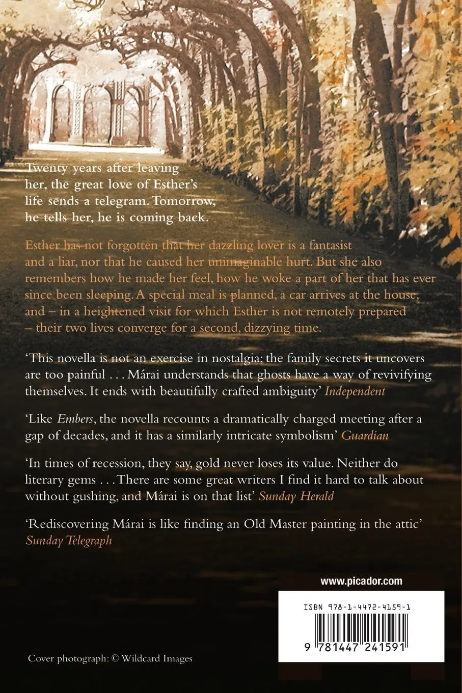 Rückseite: 9781447241591 | Esther's Inheritance | Sandor Marai | Taschenbuch | Englisch | 2013