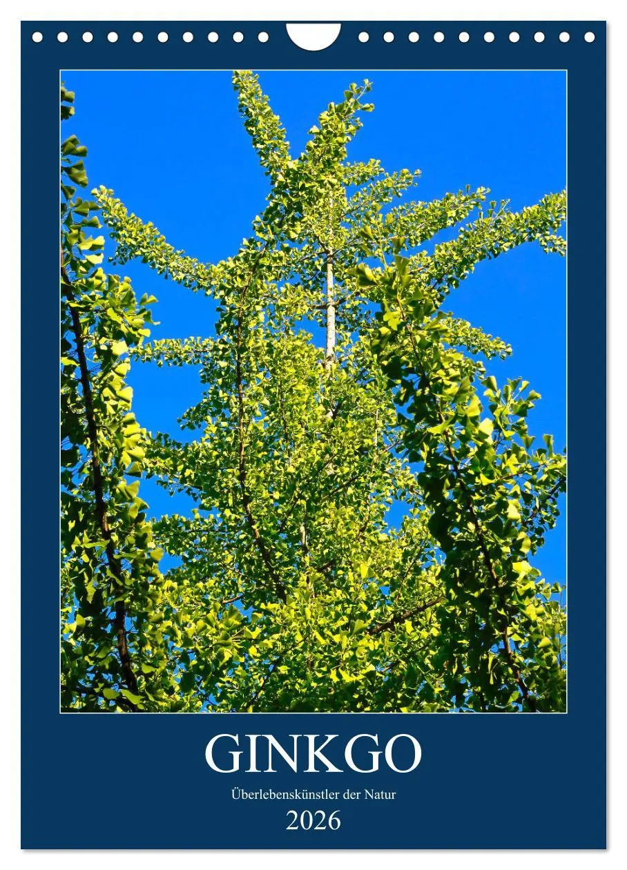 Cover: 9783516401691 | Ginkgo (Wandkalender 2026 DIN A4 hoch), CALVENDO Monatskalender | 2026