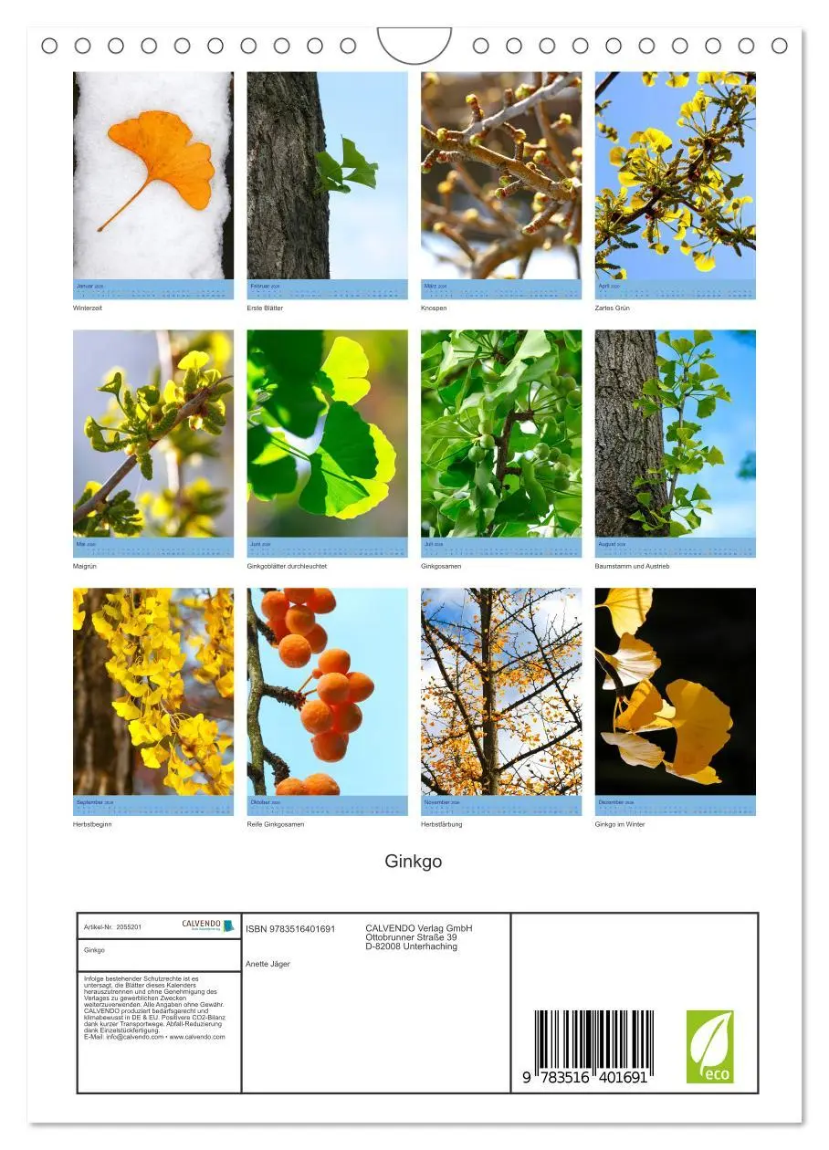 Bild: 9783516401691 | Ginkgo (Wandkalender 2026 DIN A4 hoch), CALVENDO Monatskalender | 2026