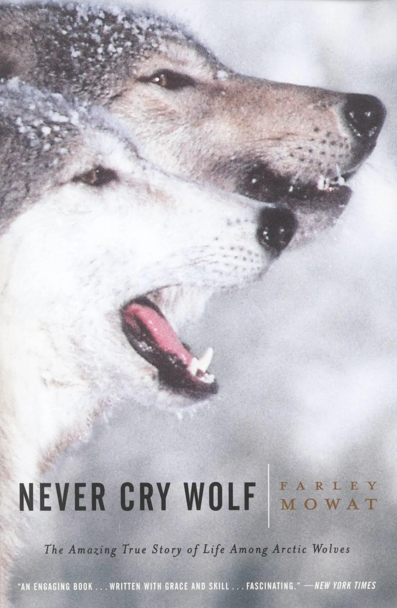 Cover: 9780316881791 | Never Cry Wolf | Farley Mowat | Taschenbuch | Kartoniert / Broschiert