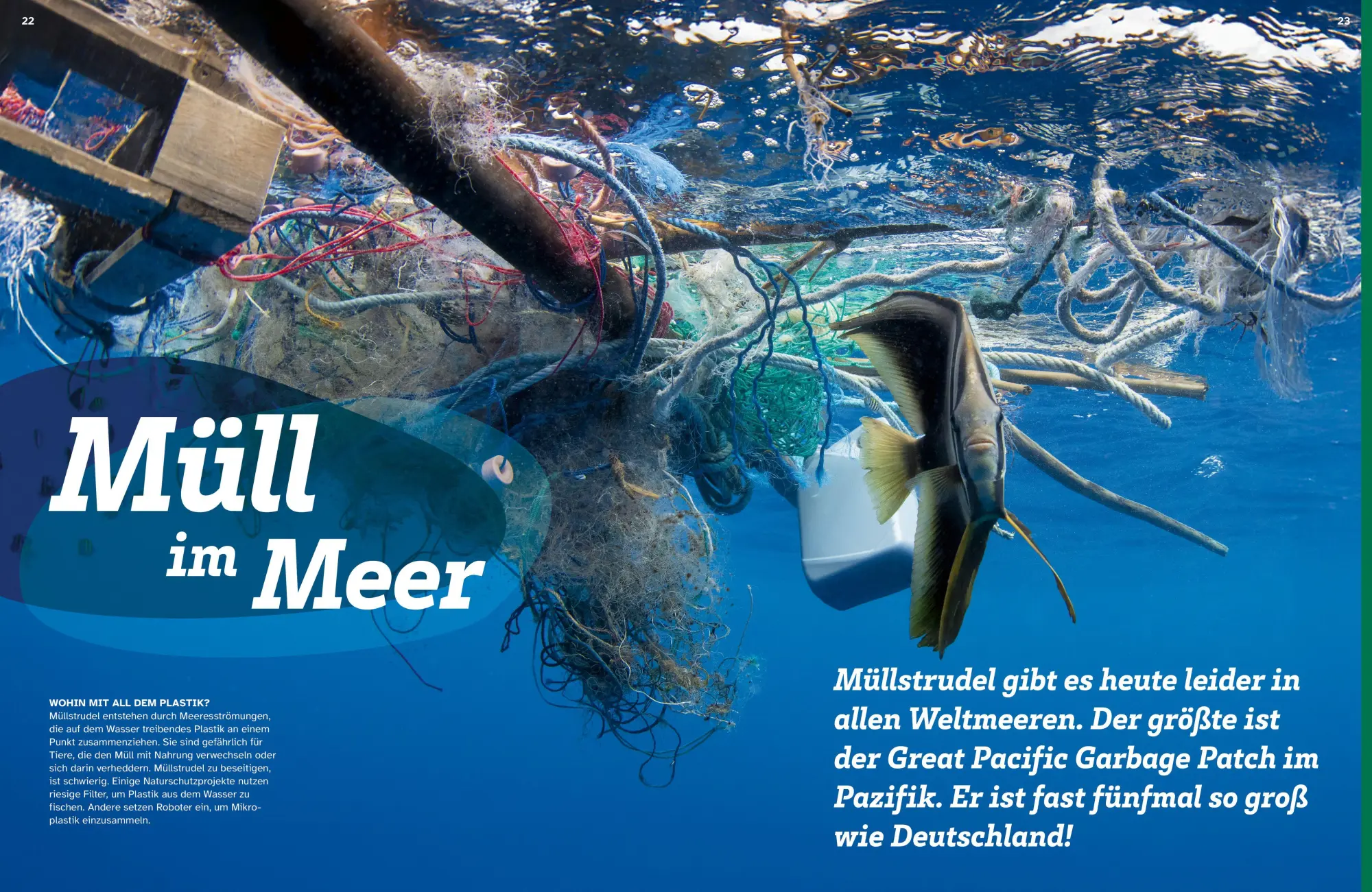 Bild: 9783788681791 | WAS IST WAS Umwelt schützen. Gemeinsam was bewegen | Alexandra Werdes