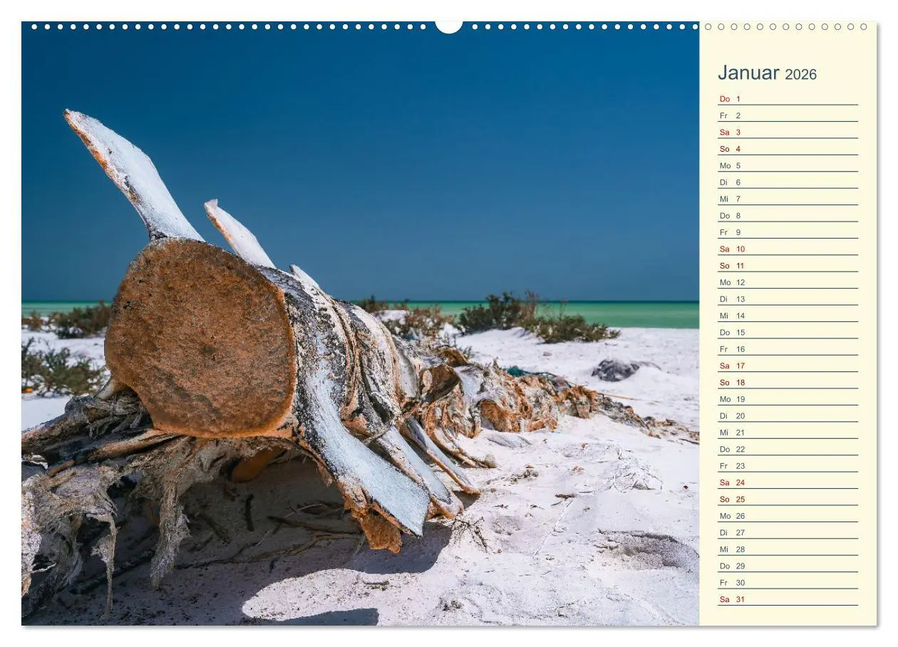 Bild: 9783457391891 | Oman - Unvergessliche Momente (Wandkalender 2026 DIN A2 quer),...