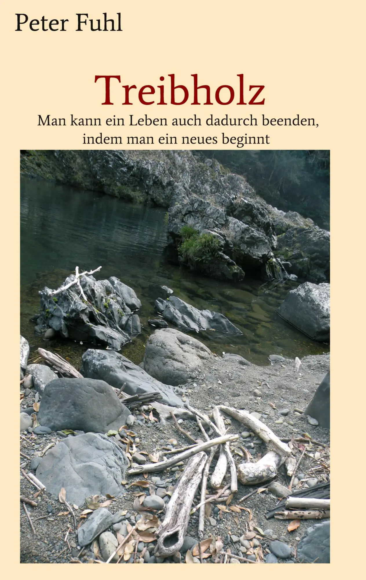 Cover: 9783734591891 | Treibholz | Peter Fuhl | Taschenbuch | 372 S. | Deutsch | 2017