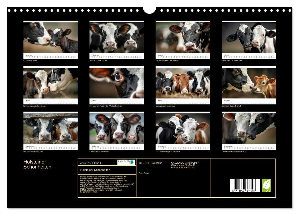 Bild: 9783457381991 | Holsteiner Schönheiten (Wandkalender 2026 DIN A3 quer), CALVENDO...