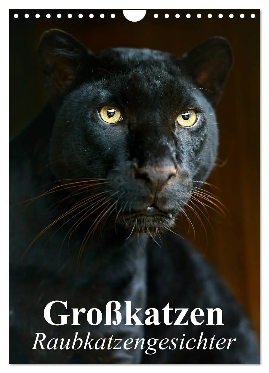 Cover: 9783516471991 | Großkatzen. Raubkatzengesichter (Wandkalender 2026 DIN A4 hoch),...