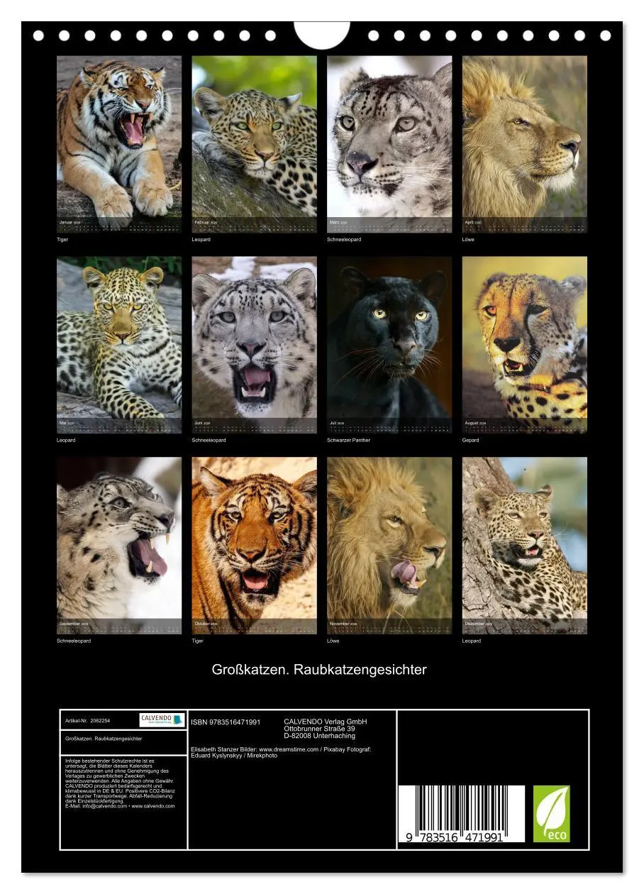 Bild: 9783516471991 | Großkatzen. Raubkatzengesichter (Wandkalender 2026 DIN A4 hoch),...