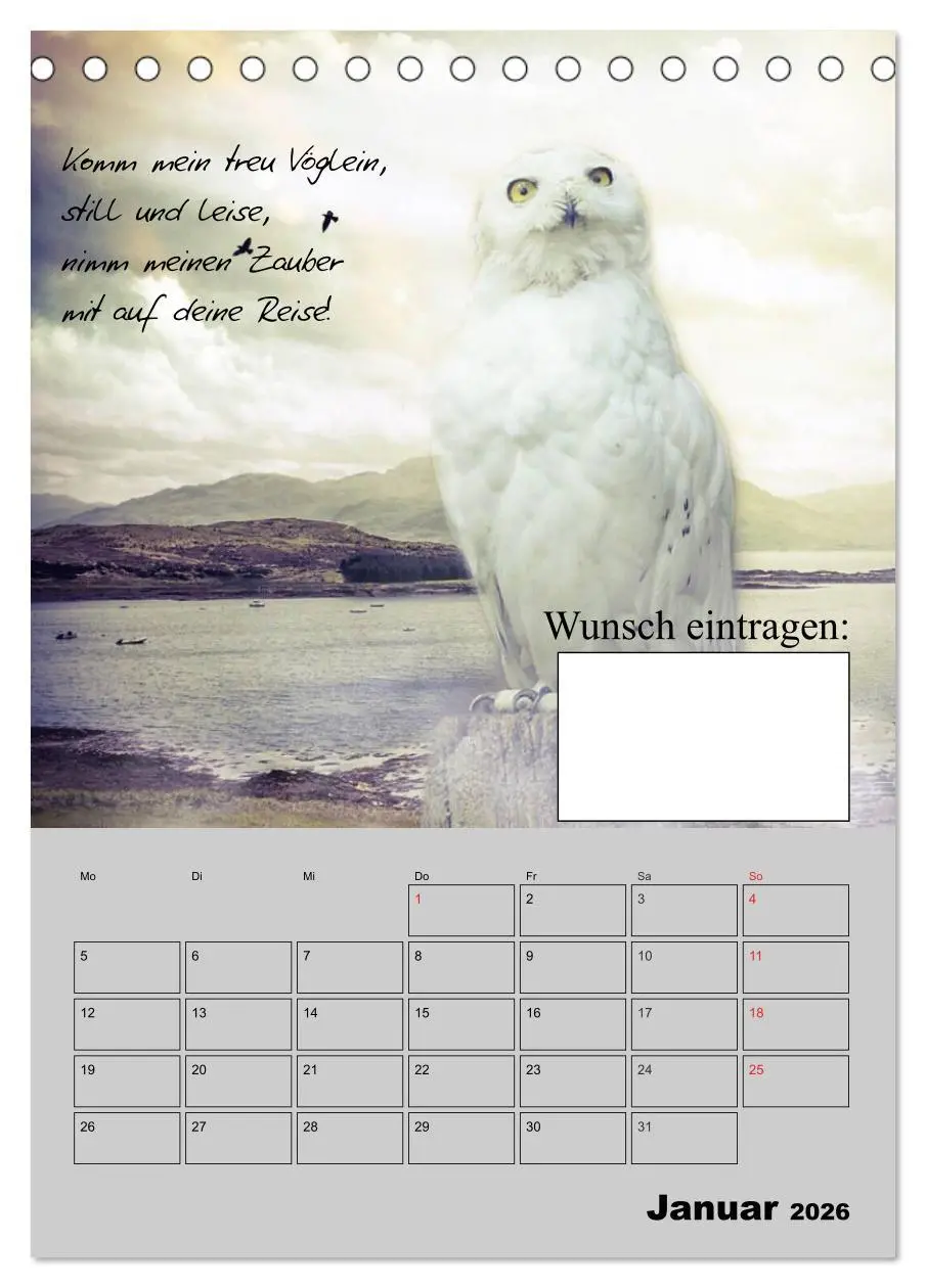 Bild: 9783516432091 | Wunsch- und Zauberkalender (Tischkalender 2026 DIN A5 hoch),...