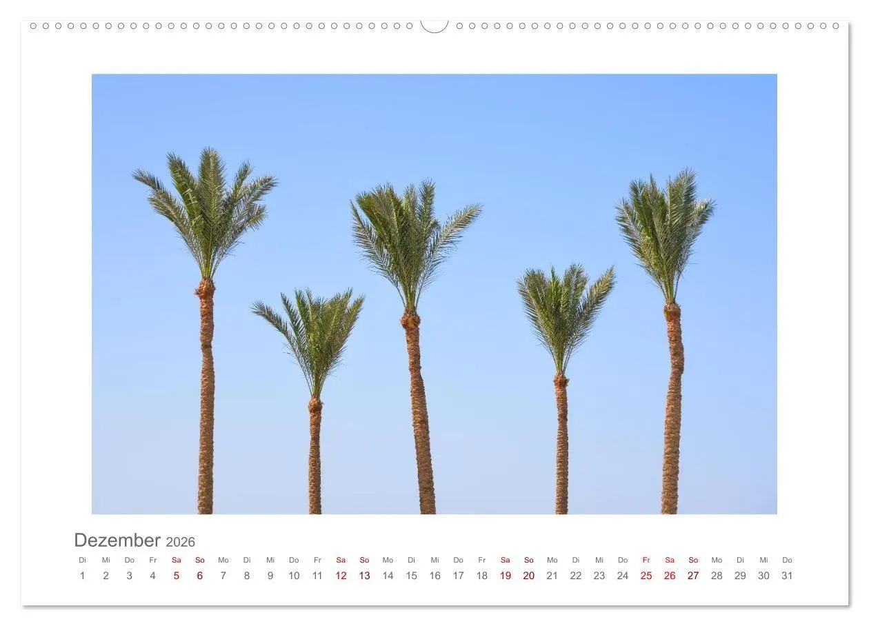 Bild: 9783516662191 | Ägypten - unterwegs mit Julia Hahn (Wandkalender 2026 DIN A2 quer),...