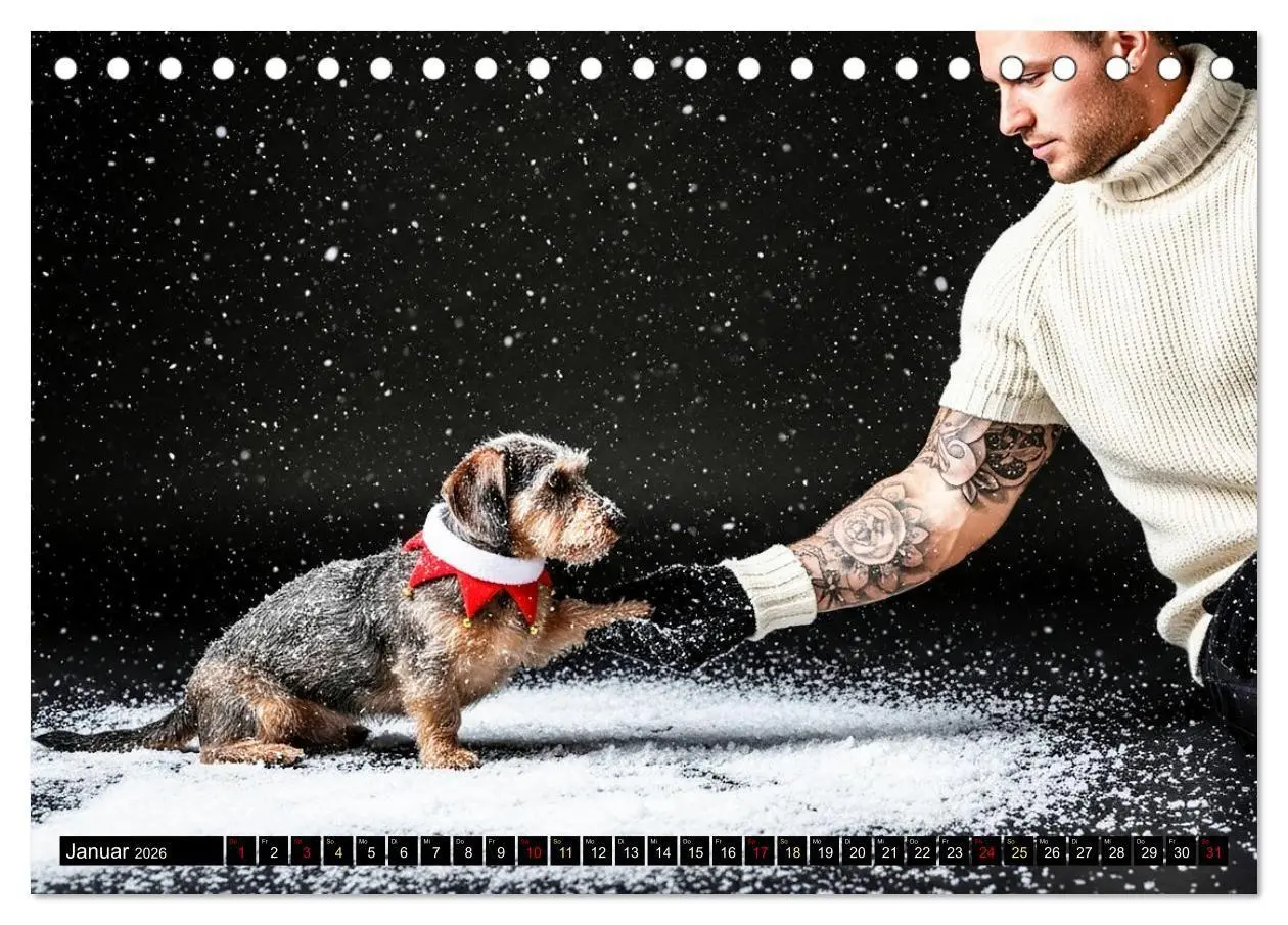 Bild: 9783516722291 | Coole Typen - Rauhaardackel (Tischkalender 2026 DIN A5 quer),...