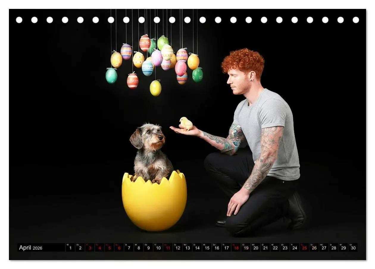 Bild: 9783516722291 | Coole Typen - Rauhaardackel (Tischkalender 2026 DIN A5 quer),...