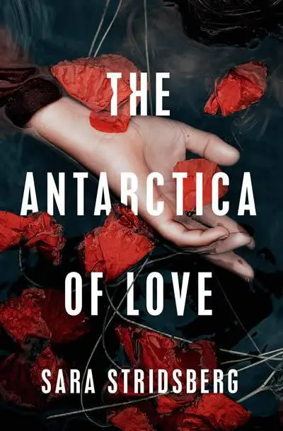 Cover: 9781529402391 | The Antarctica of Love | Sara Stridsberg | Taschenbuch | Englisch