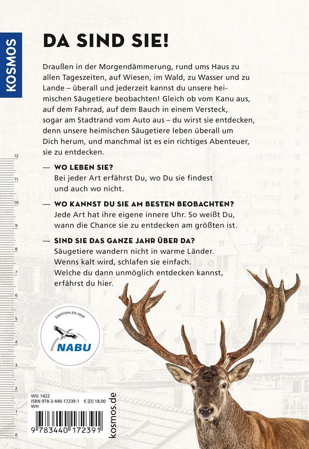 Bild: 9783440172391 | Die siehst du - Die Tiere um dich herum | Ralf Bürglin | Taschenbuch