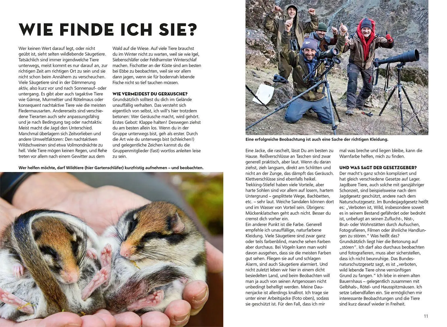 Bild: 9783440172391 | Die siehst du - Die Tiere um dich herum | Ralf Bürglin | Taschenbuch