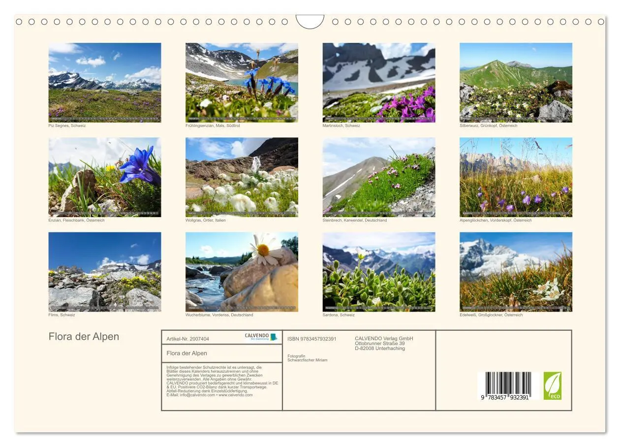 Bild: 9783457932391 | Flora der Alpen (Wandkalender 2026 DIN A3 quer), CALVENDO...
