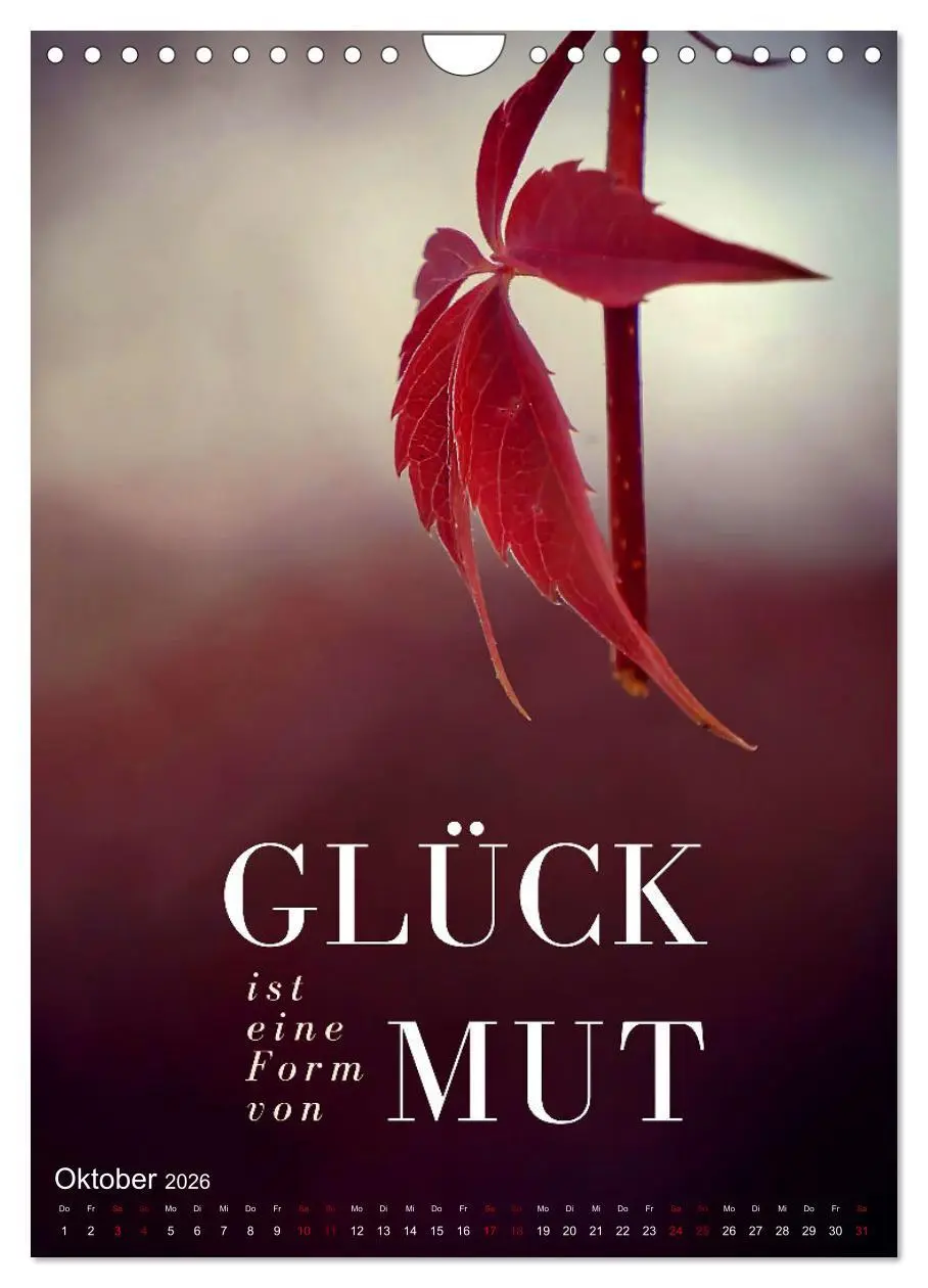 Bild: 9783516262391 | ICH WÜNSCHE DIR GLÜCK - 12 Monate mit inspirierenden Glückszitaten...