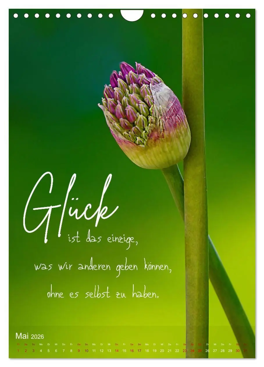Bild: 9783516262391 | ICH WÜNSCHE DIR GLÜCK - 12 Monate mit inspirierenden Glückszitaten...