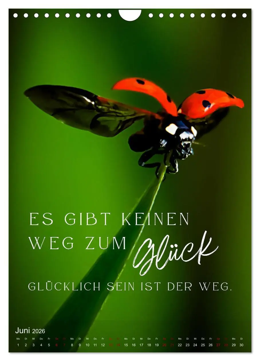 Bild: 9783516262391 | ICH WÜNSCHE DIR GLÜCK - 12 Monate mit inspirierenden Glückszitaten...