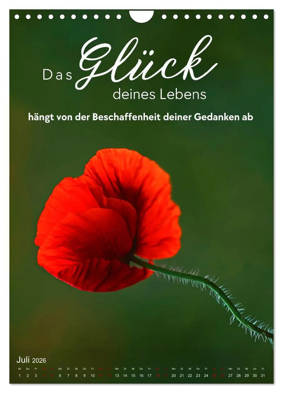 Bild: 9783516262391 | ICH WÜNSCHE DIR GLÜCK - 12 Monate mit inspirierenden Glückszitaten...
