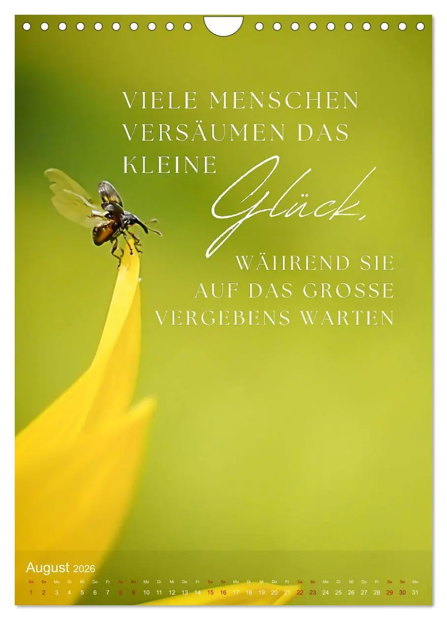 Bild: 9783516262391 | ICH WÜNSCHE DIR GLÜCK - 12 Monate mit inspirierenden Glückszitaten...