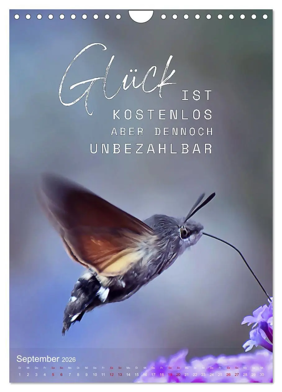 Bild: 9783516262391 | ICH WÜNSCHE DIR GLÜCK - 12 Monate mit inspirierenden Glückszitaten...