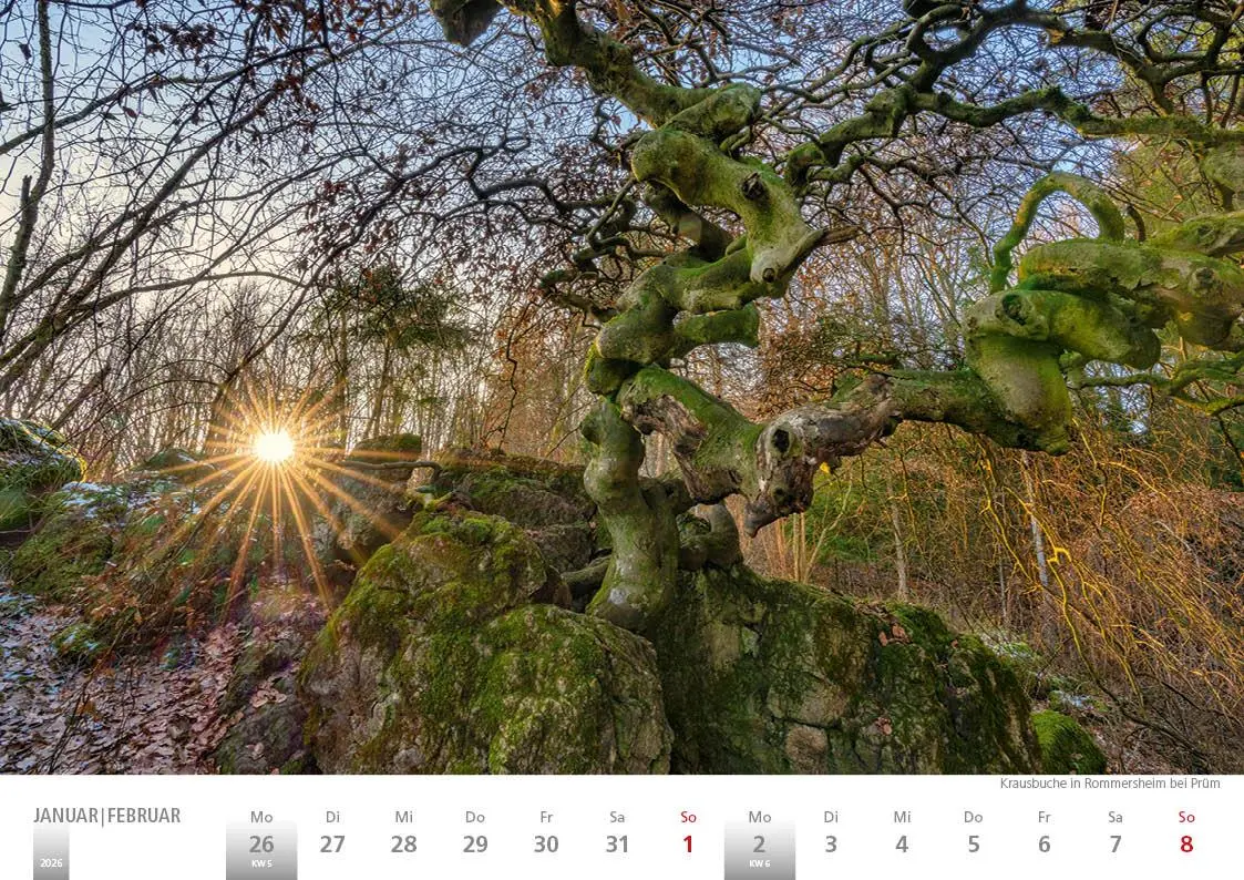 Bild: 9783965352391 | Die Eifel in Wort und Bild 2026 Bildkalender A4 quer, 28 Bilder auf...