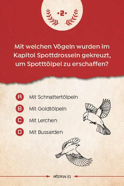 Bild: 4260478342491 | Kartenspiel: Das inoffizielle Quiz für Tribute von Panem-Fans | Grimm