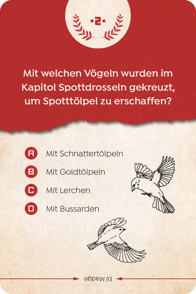 Bild: 4260478342491 | Kartenspiel: Das inoffizielle Quiz für Tribute von Panem-Fans | Grimm
