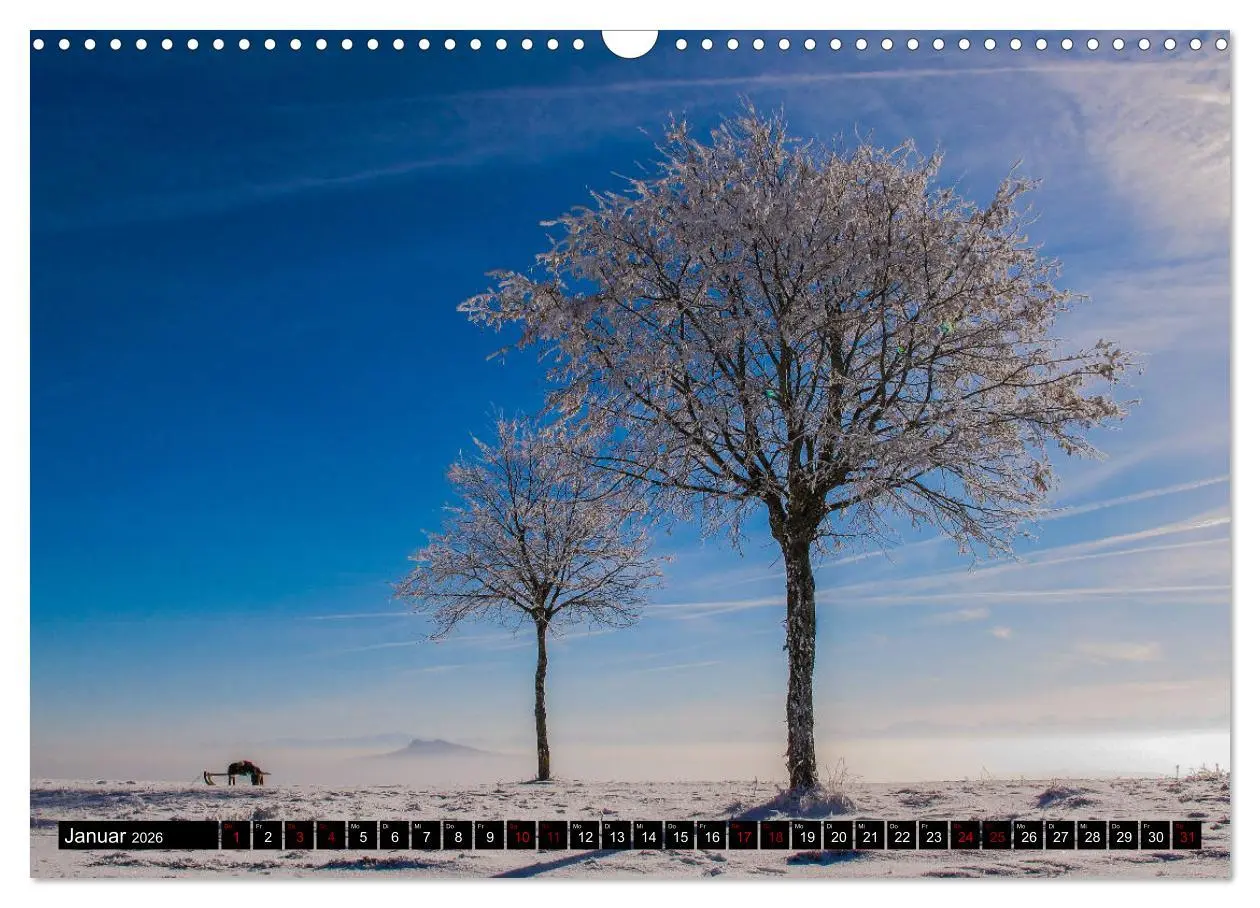 Bild: 9783457852491 | Hegau und westlicher Bodensee (Wandkalender 2026 DIN A3 quer),...
