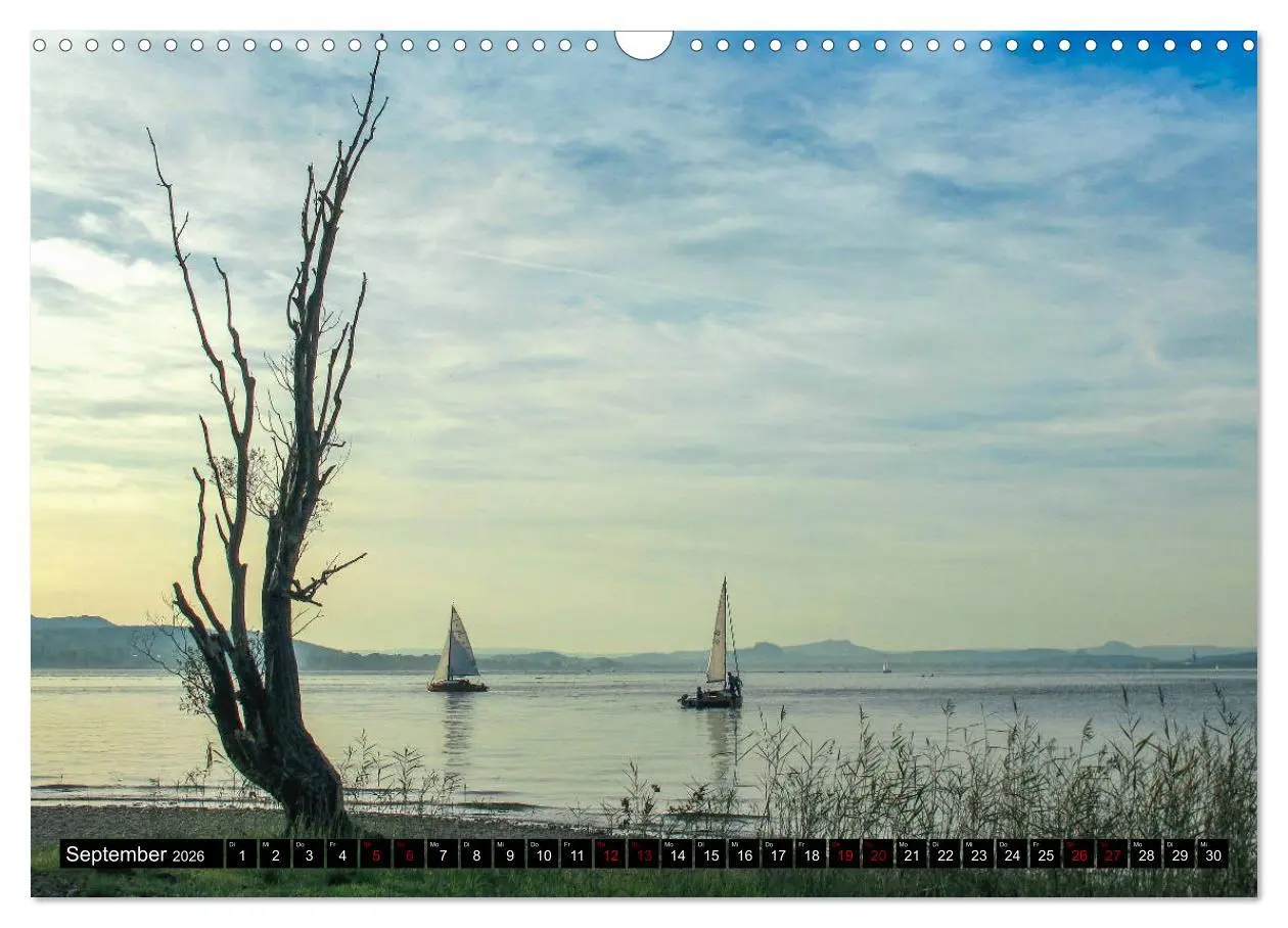 Bild: 9783457852491 | Hegau und westlicher Bodensee (Wandkalender 2026 DIN A3 quer),...