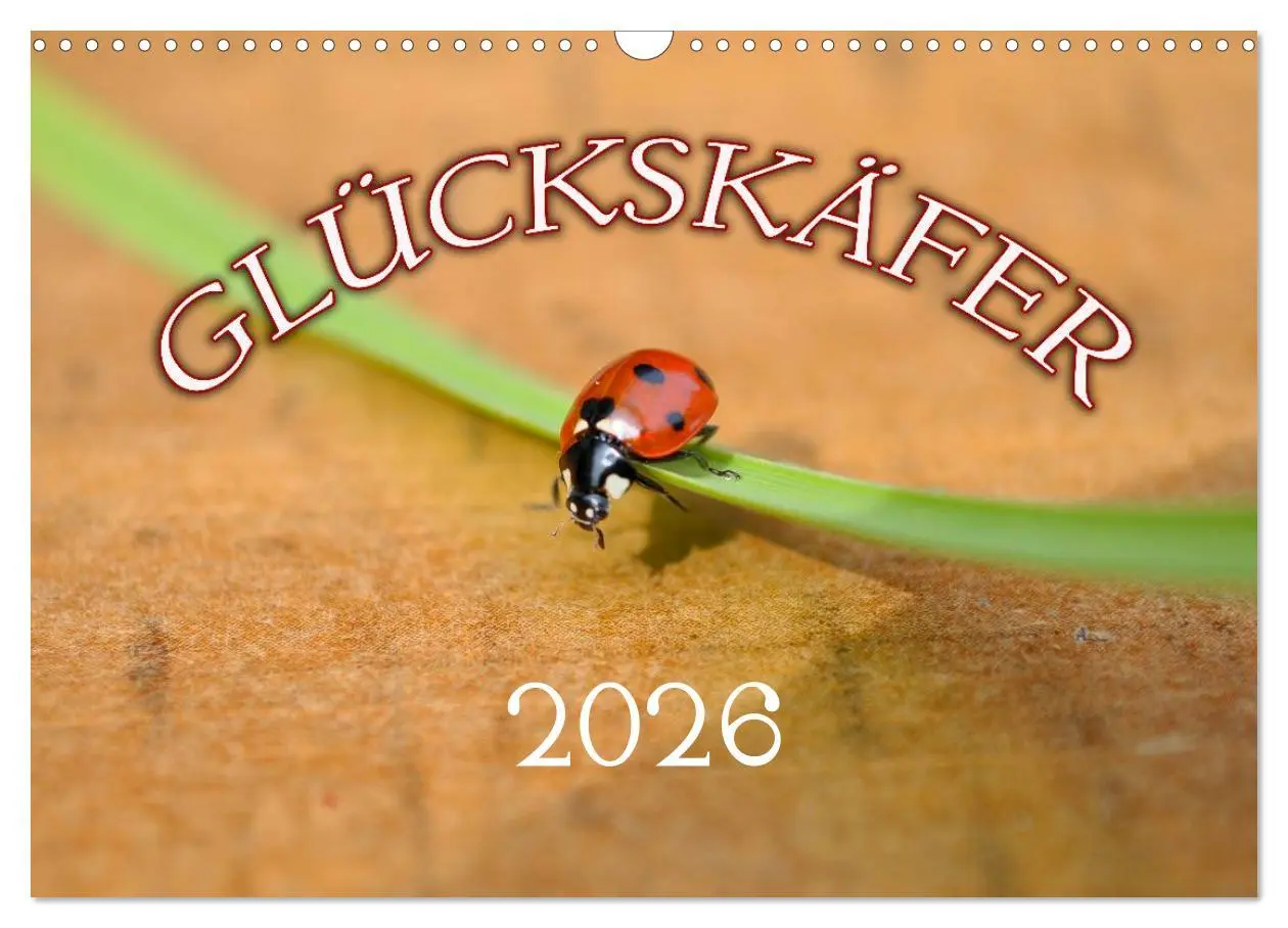 Cover: 9783516182491 | Marienkäfer 2026 (Wandkalender 2026 DIN A3 quer), CALVENDO...