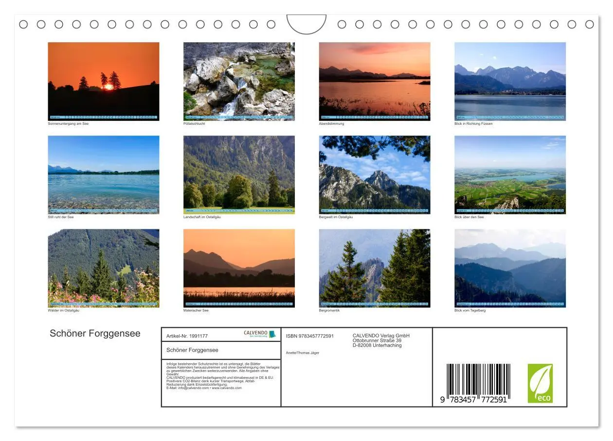 Bild: 9783457772591 | Schöner Forggensee (Wandkalender 2026 DIN A4 quer), CALVENDO...