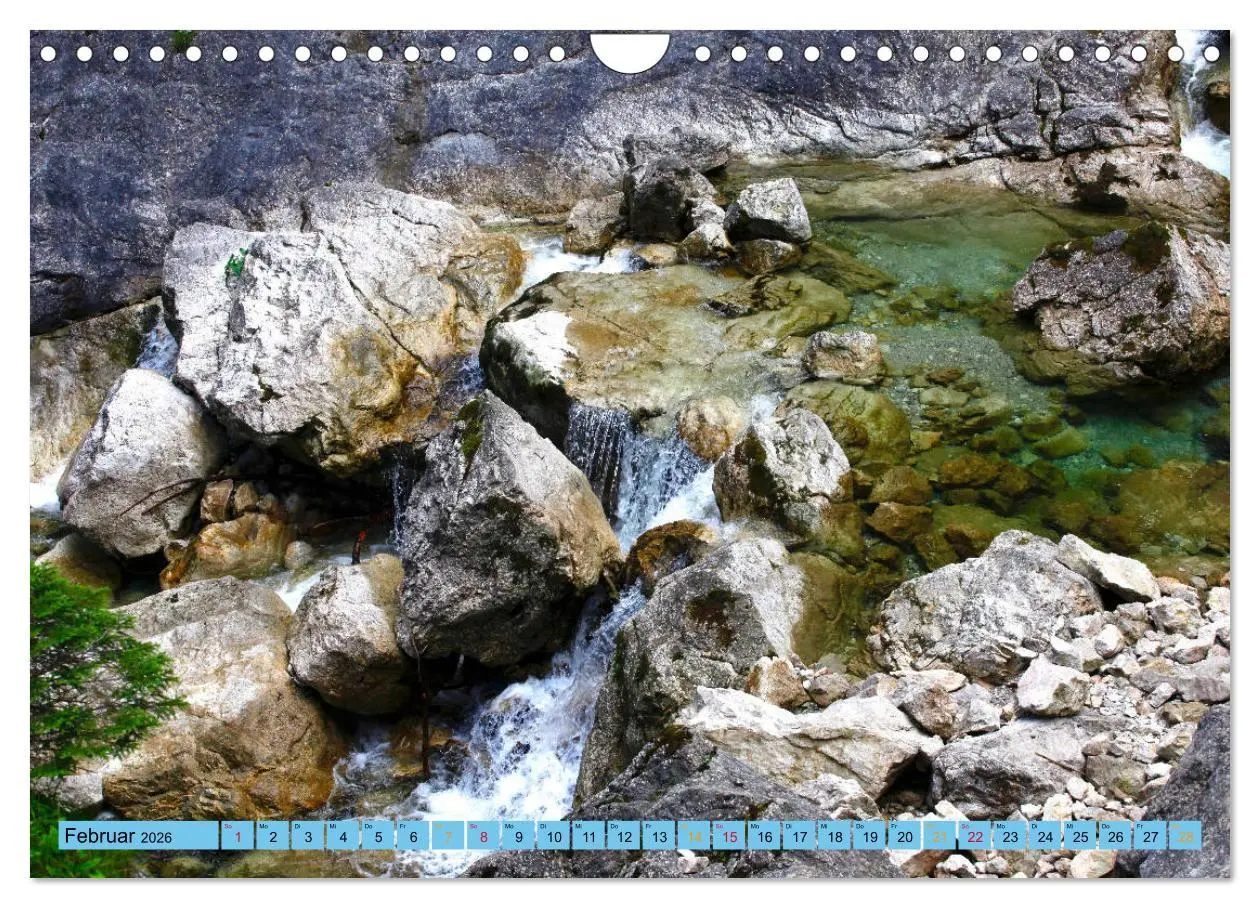 Bild: 9783457772591 | Schöner Forggensee (Wandkalender 2026 DIN A4 quer), CALVENDO...