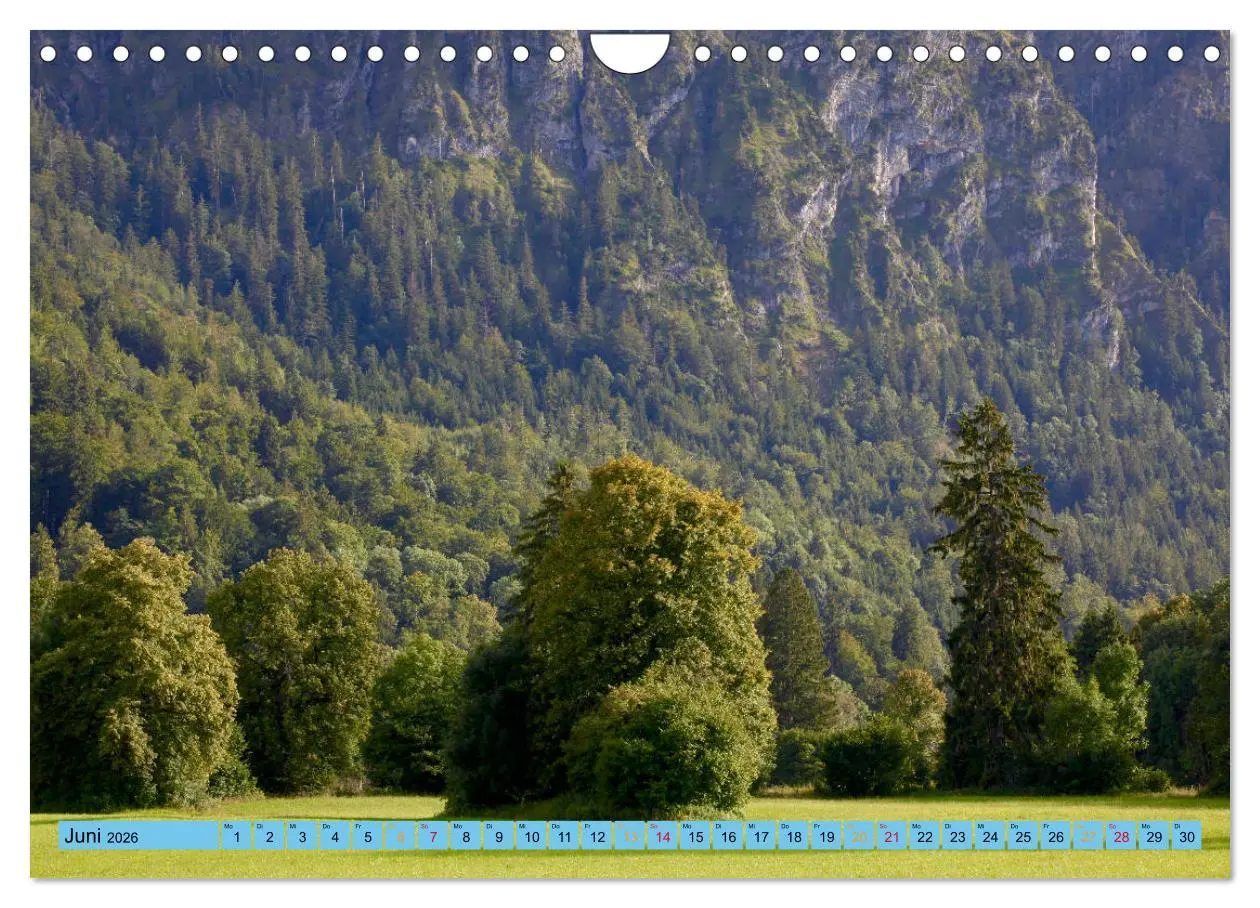 Bild: 9783457772591 | Schöner Forggensee (Wandkalender 2026 DIN A4 quer), CALVENDO...