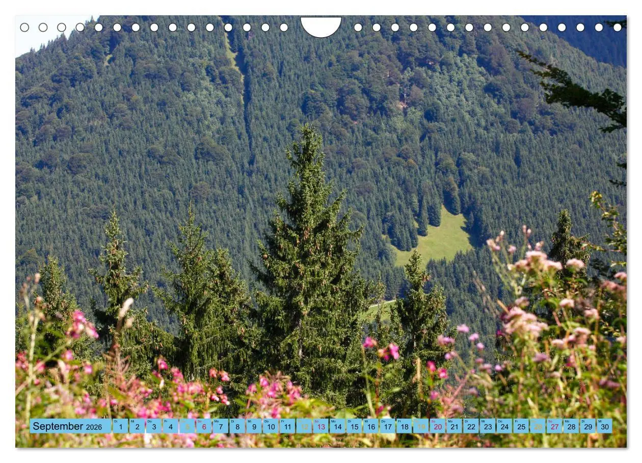 Bild: 9783457772591 | Schöner Forggensee (Wandkalender 2026 DIN A4 quer), CALVENDO...