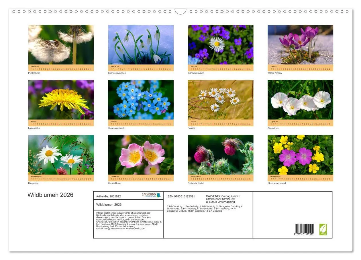 Bild: 9783516172591 | Wildblumen 2026 (Wandkalender 2026 DIN A2 quer), CALVENDO...