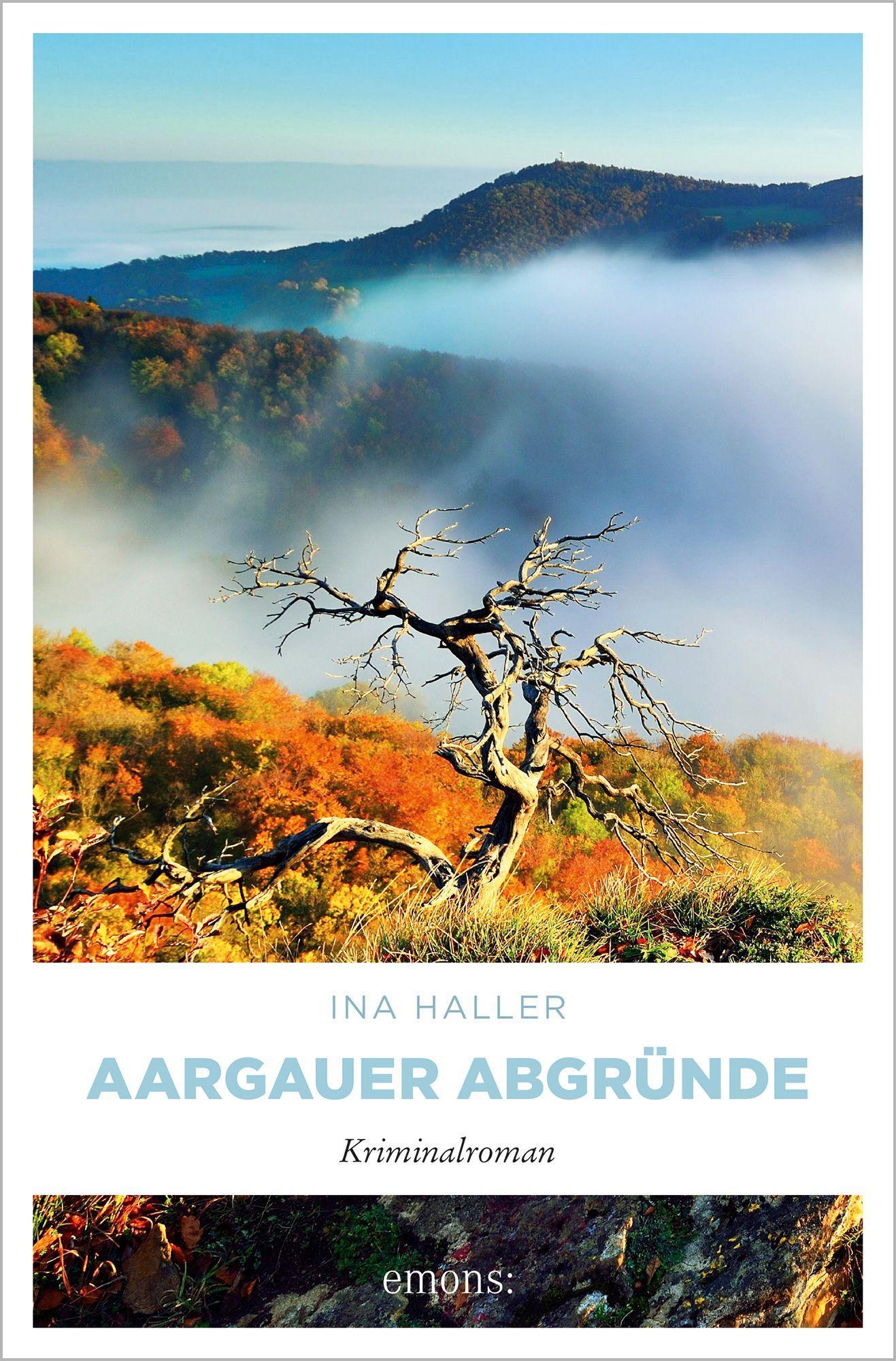 Cover: 9783740812591 | Aargauer Abgründe | Kriminalroman | Ina Haller | Taschenbuch | 272 S.