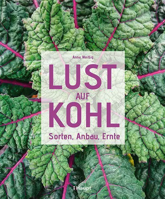 Cover: 9783258082691 | Lust auf Kohl | Sorten, Anbau, Ernte | Anna Weißig | Buch | 192 S.