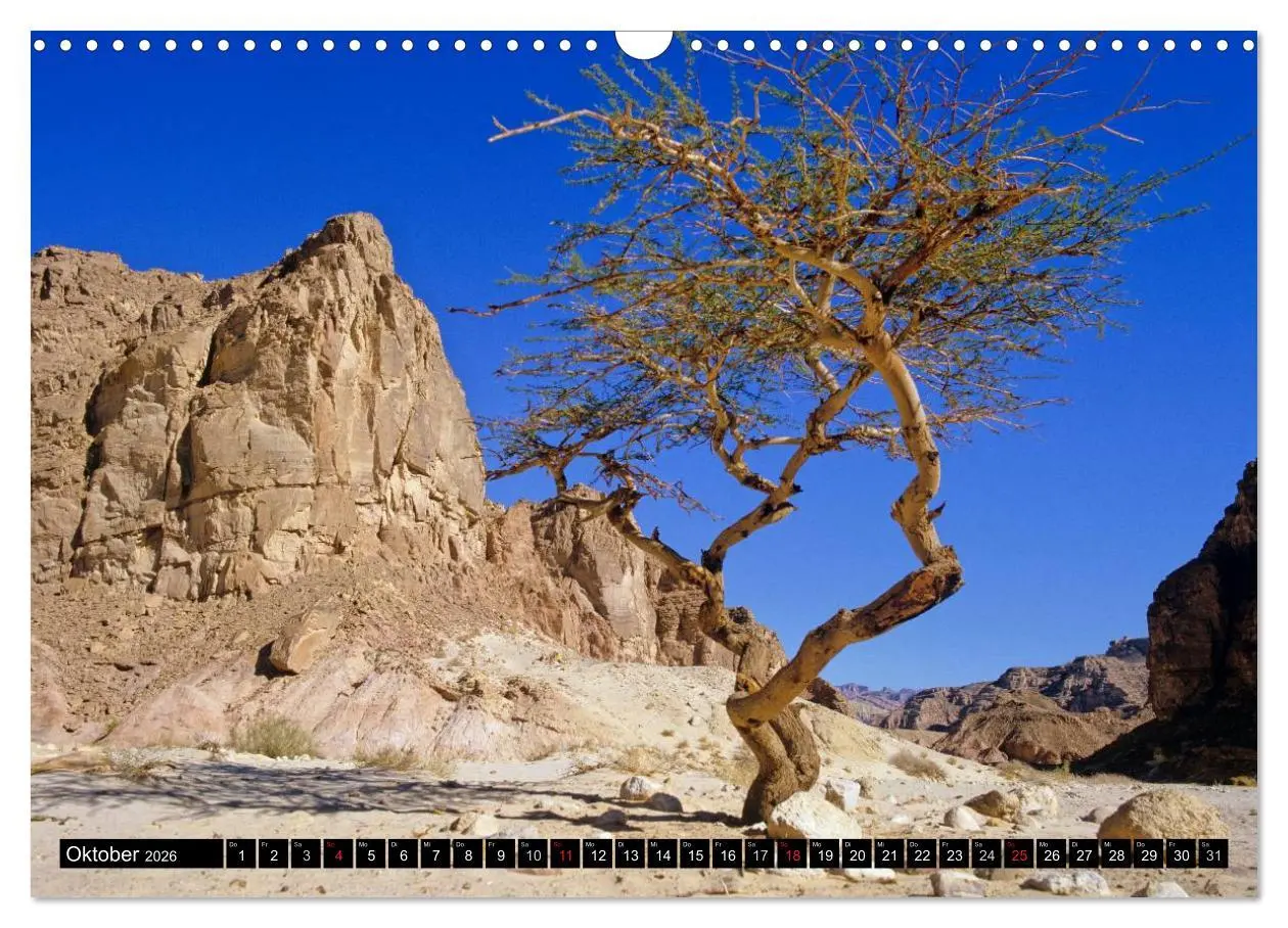 Bild: 9783516092691 | Sinai - Landschaft aus Fels und Sand (Wandkalender 2026 DIN A3...