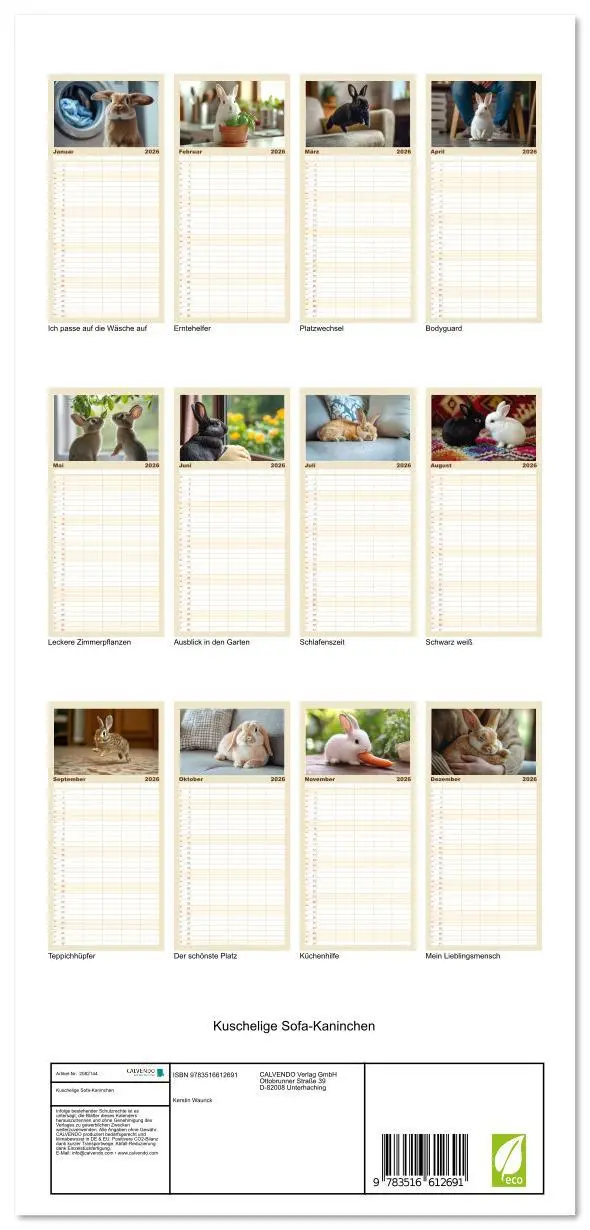 Bild: 9783516612691 | Familienplaner 2026 - Kuschelige Sofa-Kaninchen mit 5 Spalten...
