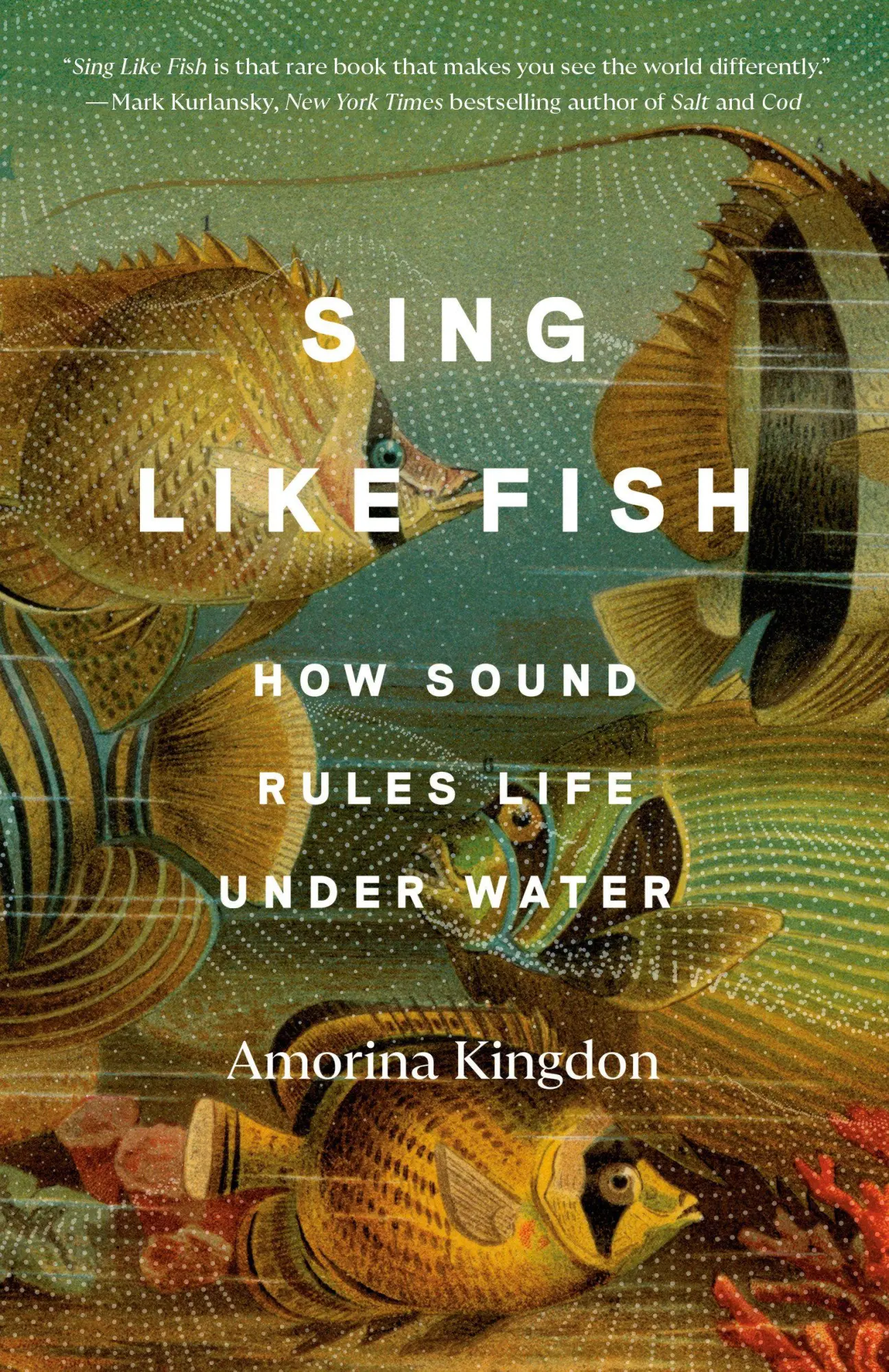 Cover: 9780593442791 | Sing Like Fish | How Sound Rules Life Under Water | Amorina Kingdon