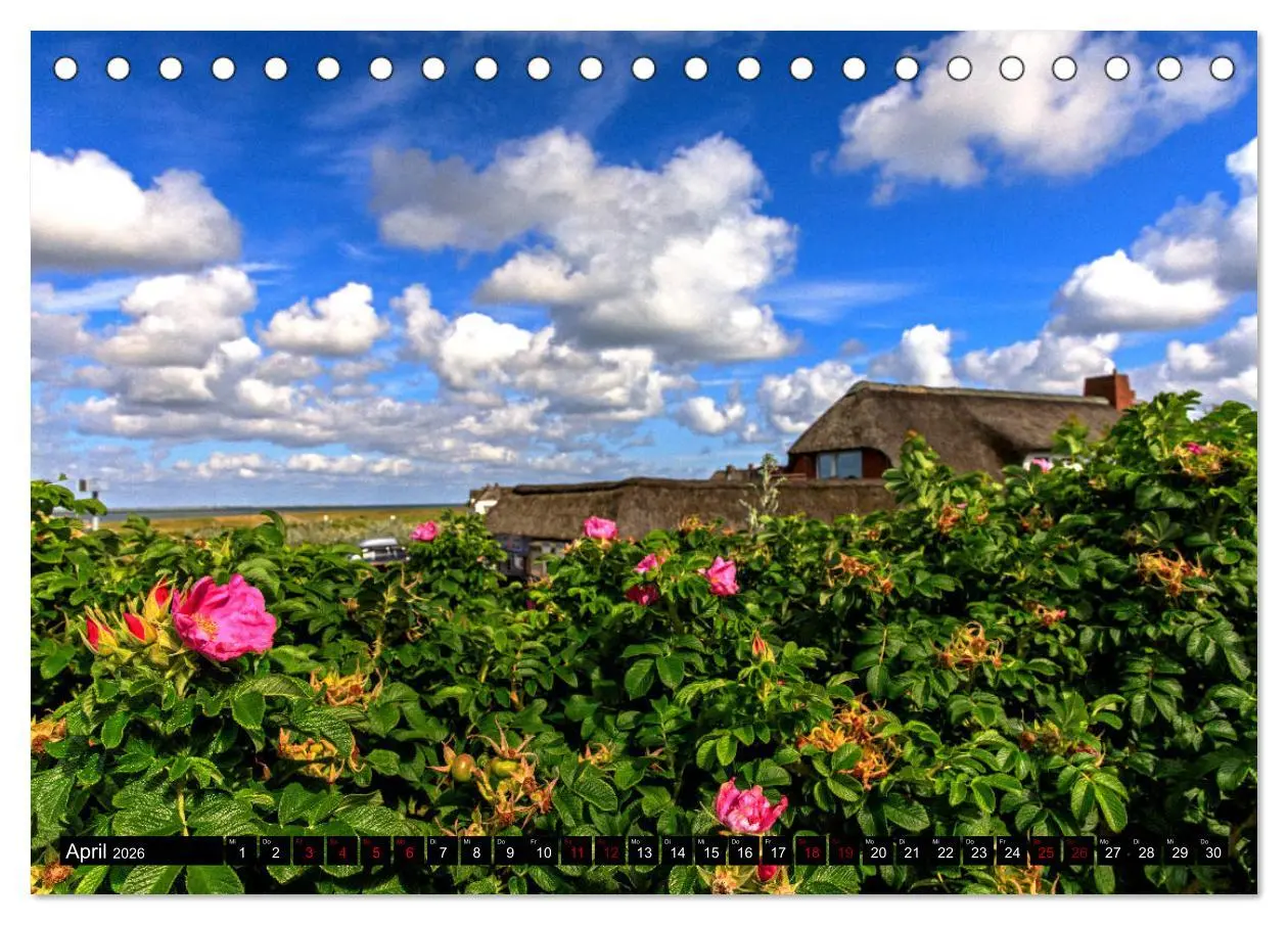 Bild: 9783457822791 | Magisches Sylt (Tischkalender 2026 DIN A5 quer), CALVENDO...