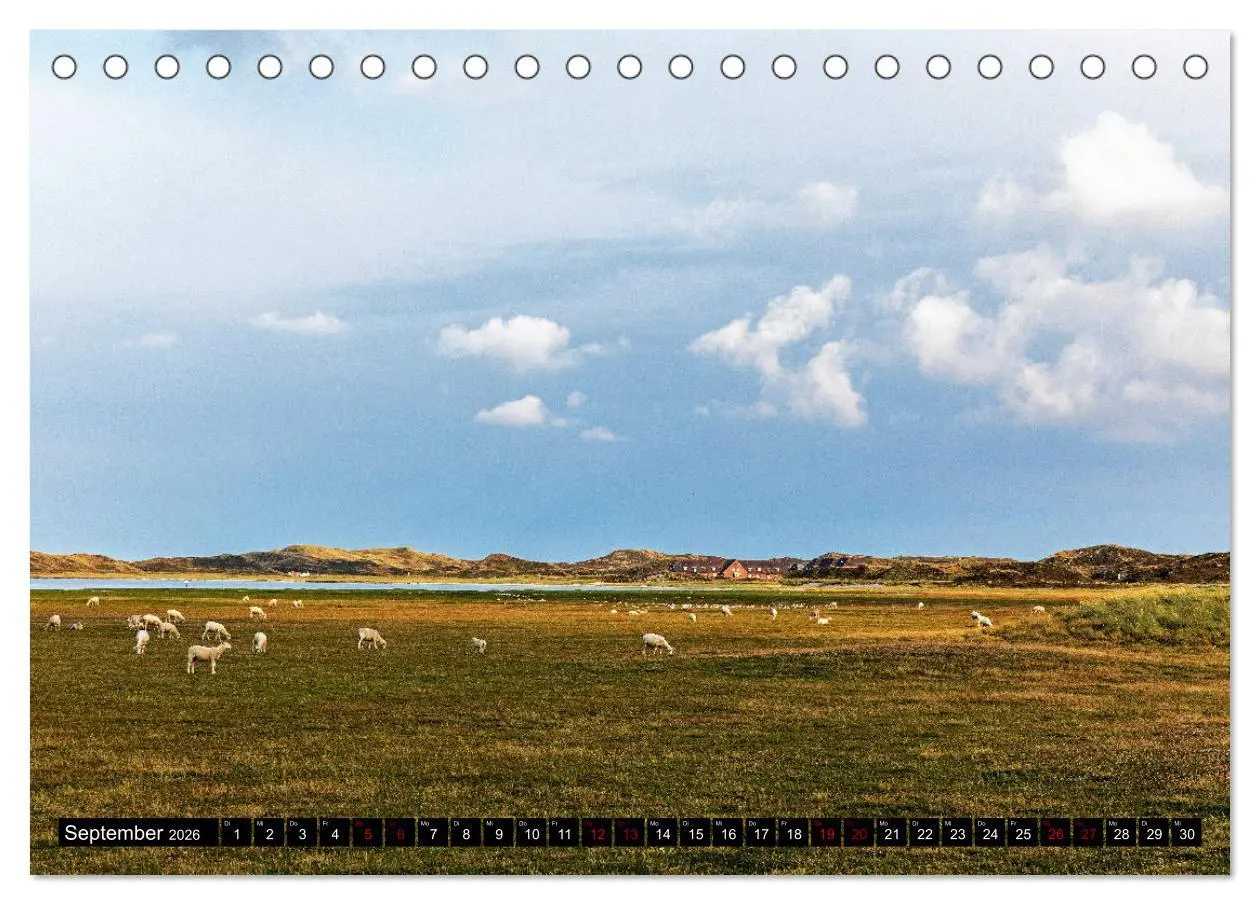 Bild: 9783457822791 | Magisches Sylt (Tischkalender 2026 DIN A5 quer), CALVENDO...