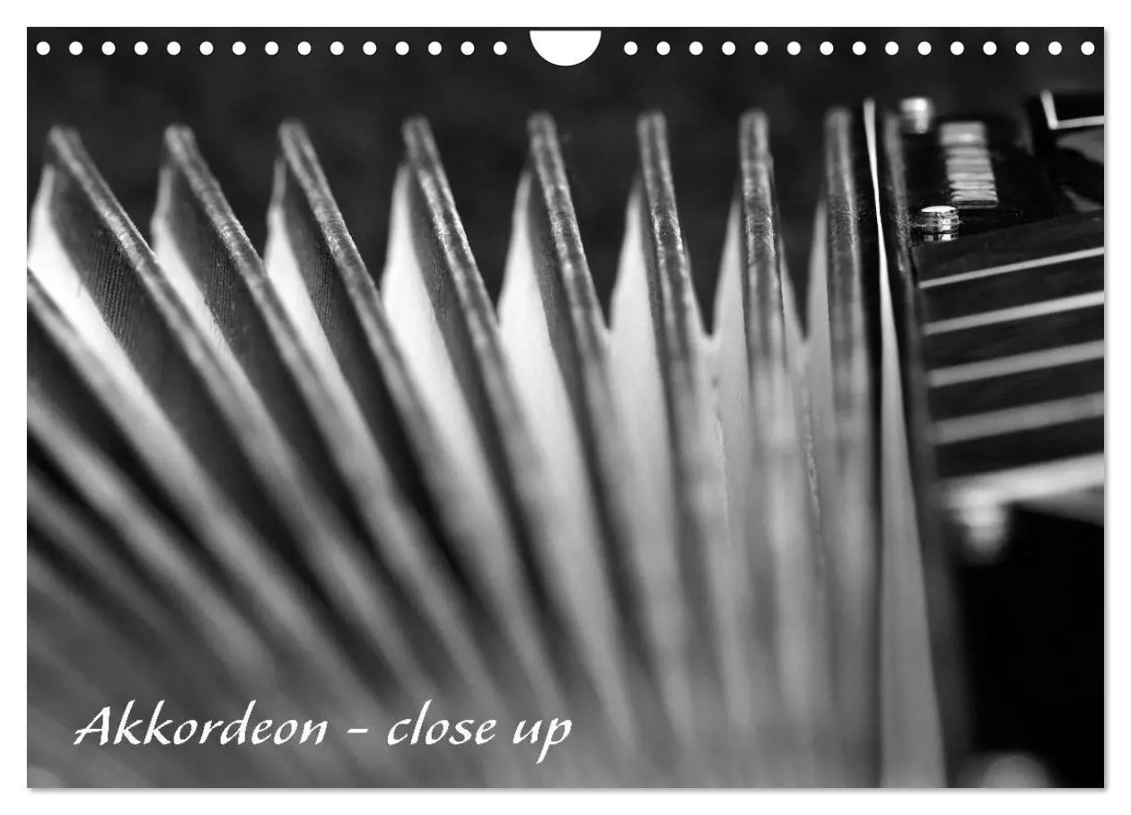 Cover: 9783457982891 | Akkordeon - close up (Wandkalender 2026 DIN A4 quer), CALVENDO...