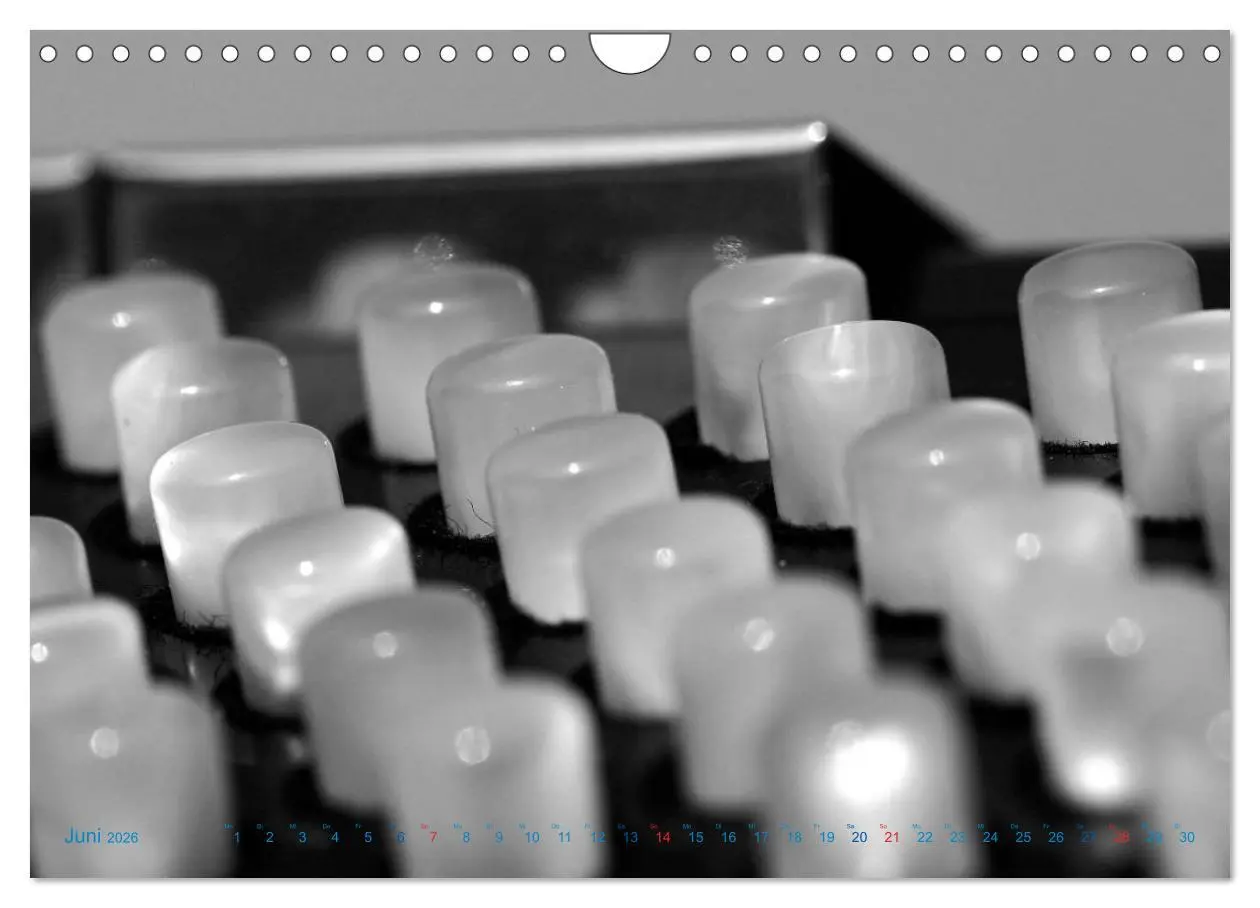 Bild: 9783457982891 | Akkordeon - close up (Wandkalender 2026 DIN A4 quer), CALVENDO...
