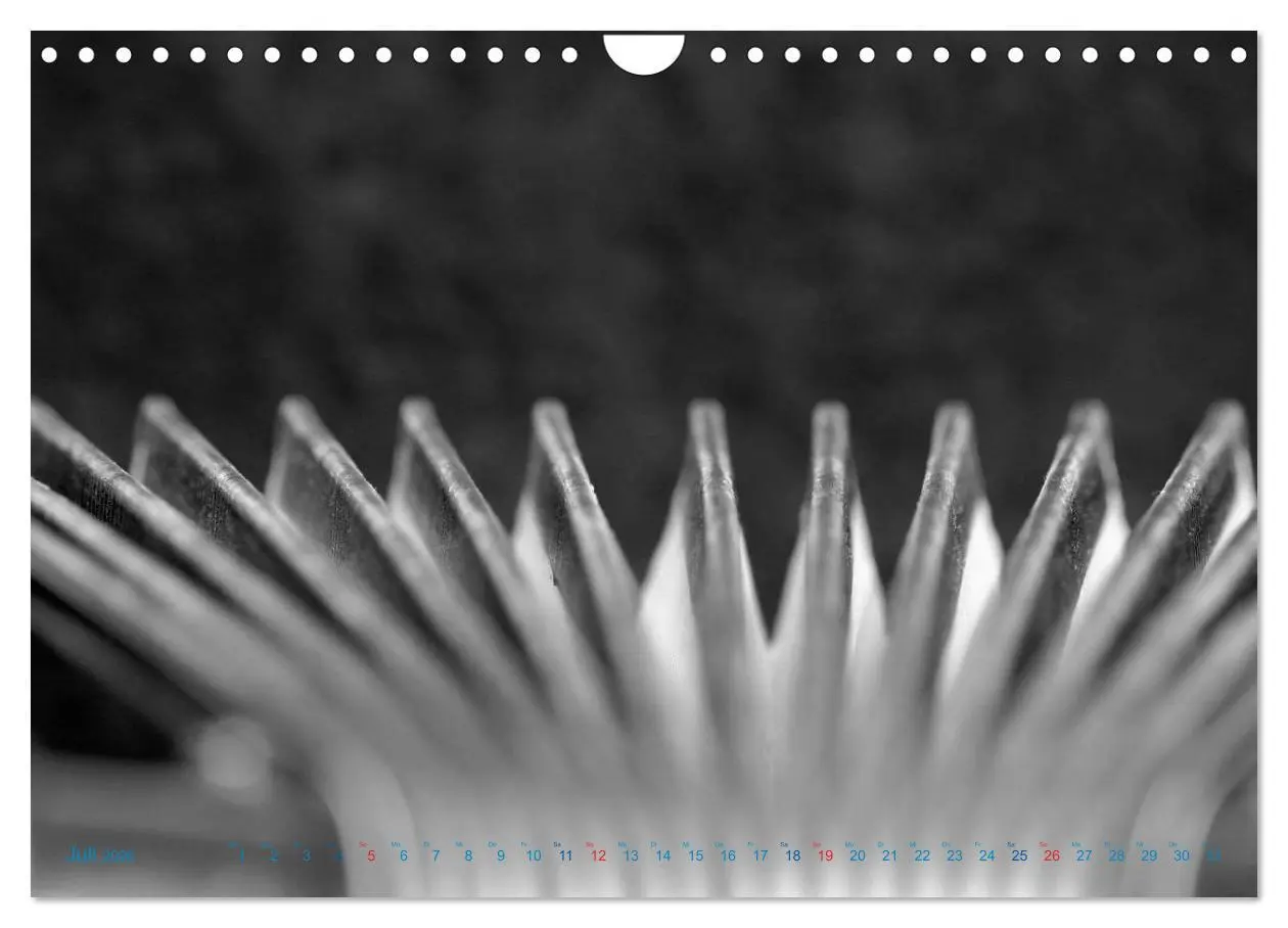 Bild: 9783457982891 | Akkordeon - close up (Wandkalender 2026 DIN A4 quer), CALVENDO...
